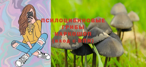 стаф Абдулино