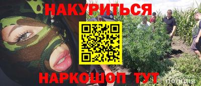 МДМА Новозыбков