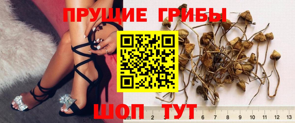 наркошоп  Вход с VPN  Химки  Галлюциногенные грибы ЛСД 